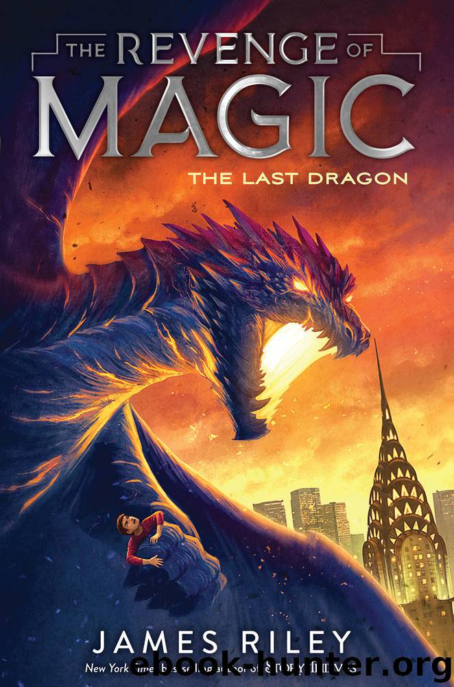 The Last Dragon by James Riley