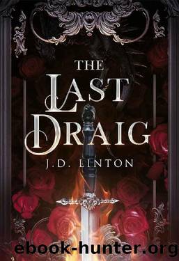 The Last Draig by JD Linton
