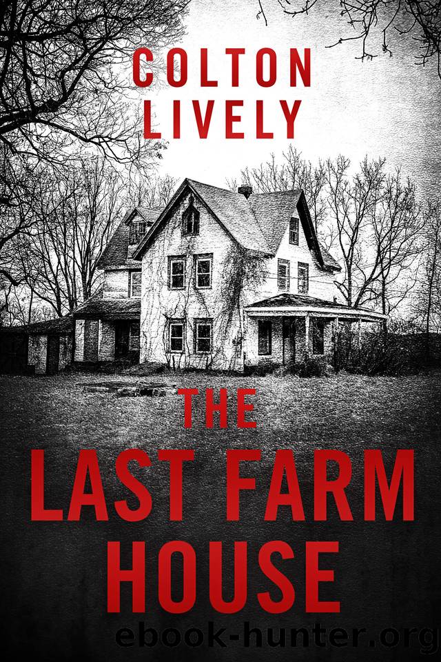 The Last Farm House: A Small Town Post Apocalypse EMP Thriller by Colton Lively