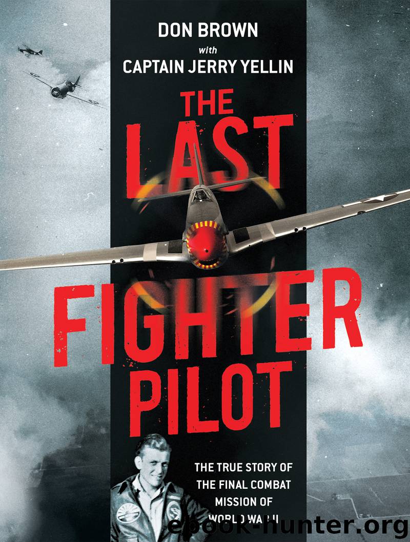 The Last Fighter Pilot by Don Brown