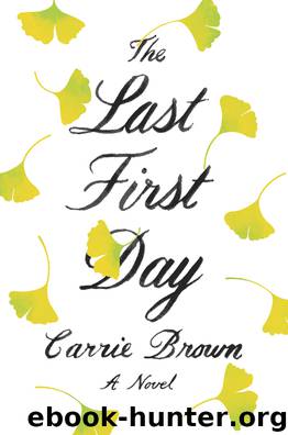 The Last First Day by Carrie Brown