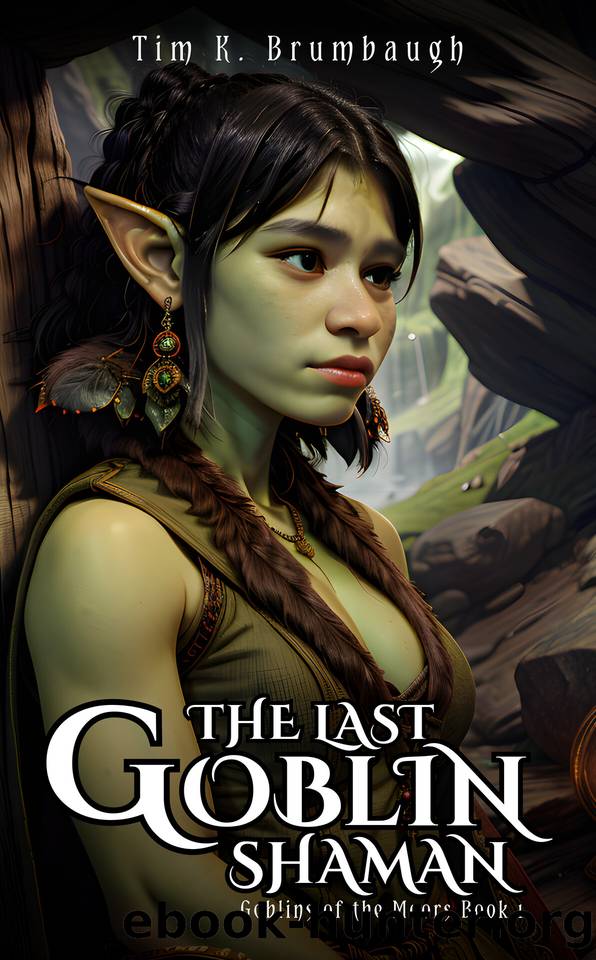 The Last Goblin Shaman by Tim K. Brumbaugh