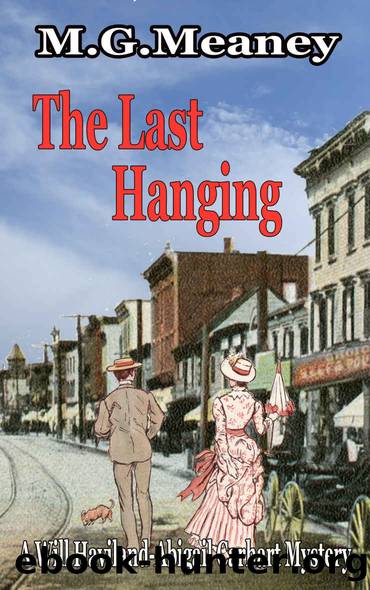 The Last Hanging: A Will Haviland-Abigail Carhart Mystery by M.G. Meaney