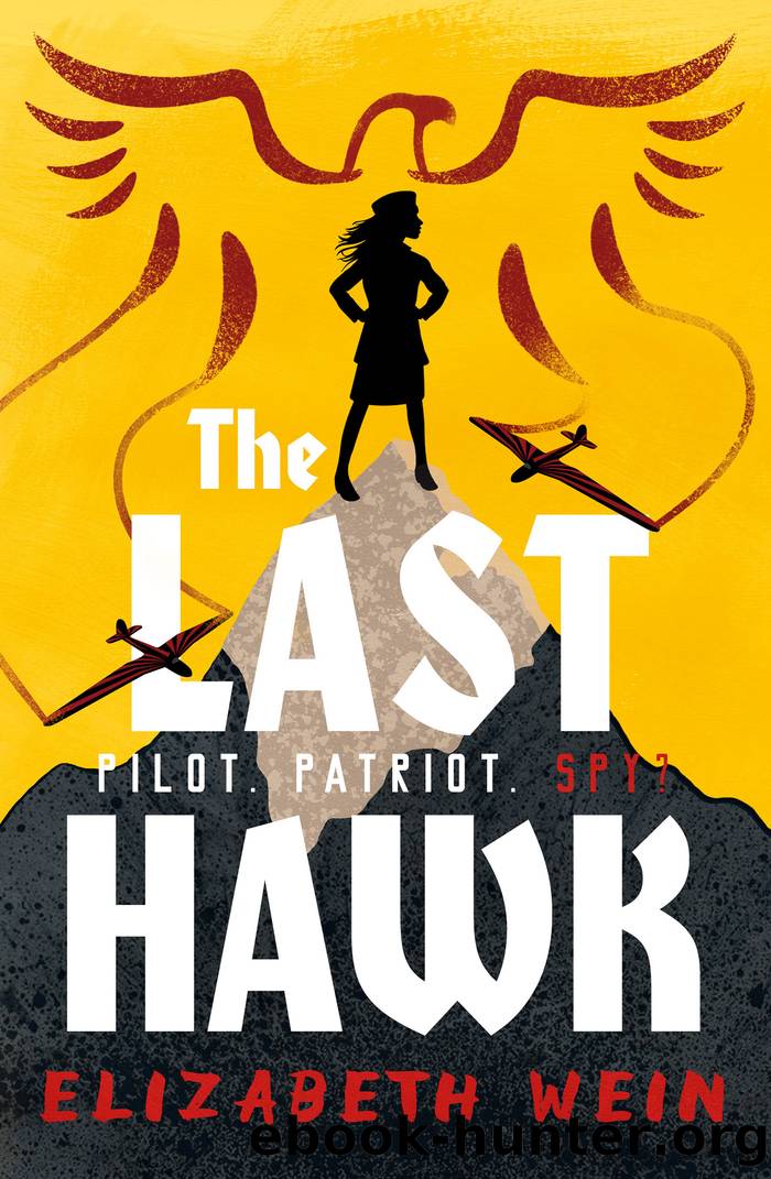 The Last Hawk by Elizabeth Wein