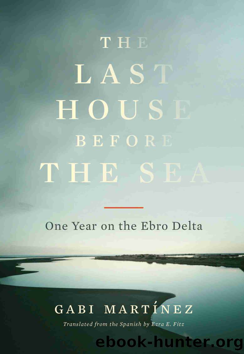 The Last House Before the Sea by Gabi Martínez