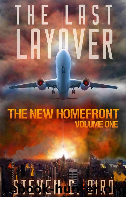 The Last Layover by Steven Bird