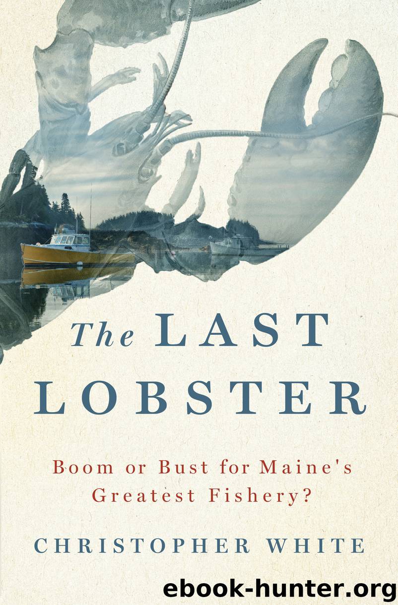 The Last Lobster by Christopher White
