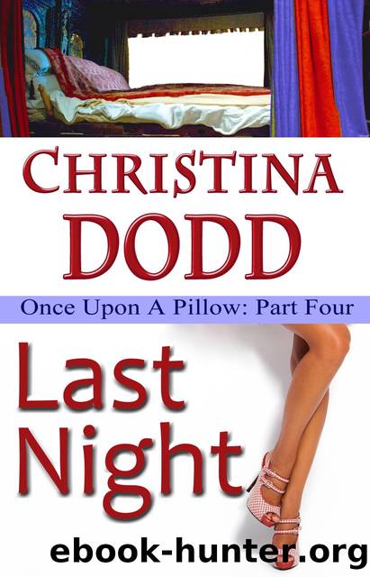 The Last Night by Christina Dodd