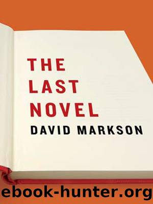 The Last Novel (2007) by David Markson
