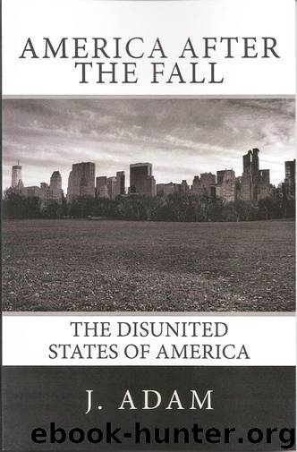 The Last Patriot's Series 1: America After the Fall: The Disunited States of America by J. Adam