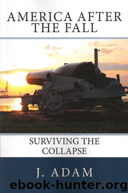 The Last Patriot's Series 2: America After the Fall: Surviving the Collapse by J. Adam