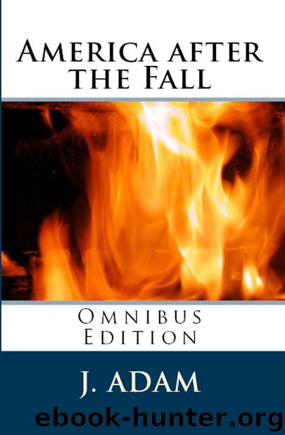 The Last Patriot's Series 4: America After the Fall: Omnibus Edition by J. Adam