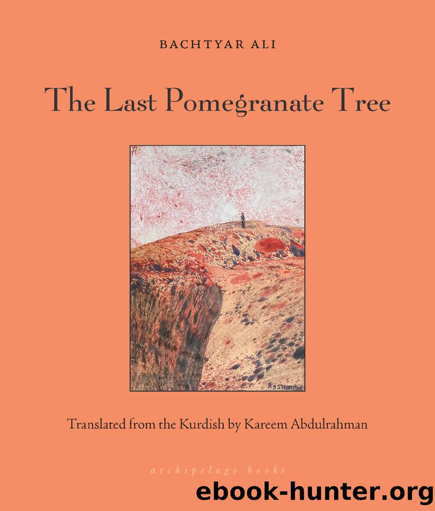 The Last Pomegranate Tree by Ali Bachtyar