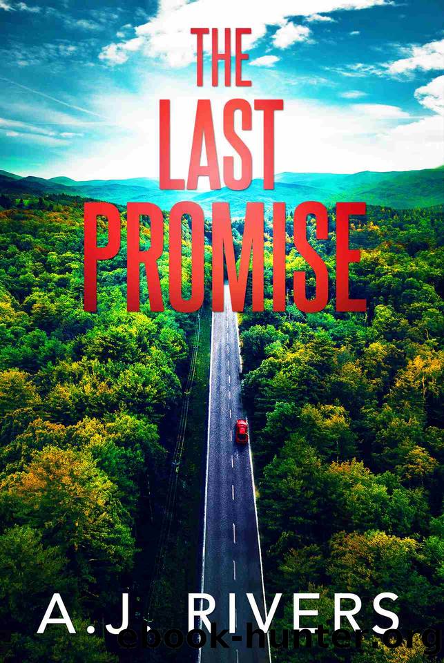 The Last Promise (Dean Steele Mystery Thriller Book 7) by A.J. Rivers