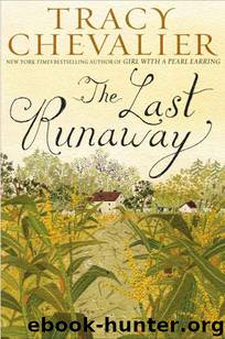 The Last Runaway by Chevalier Tracy