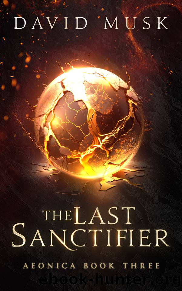 The Last Sanctifier: An Epic Fantasy Adventure by David Musk