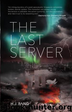 The Last Server by H. J. Pang