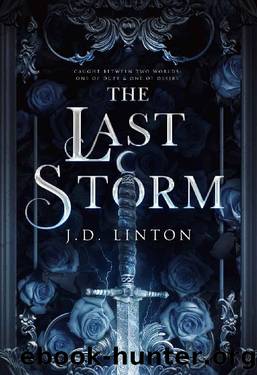 The Last Storm (Rogue X Ara Book 1) by JD Linton
