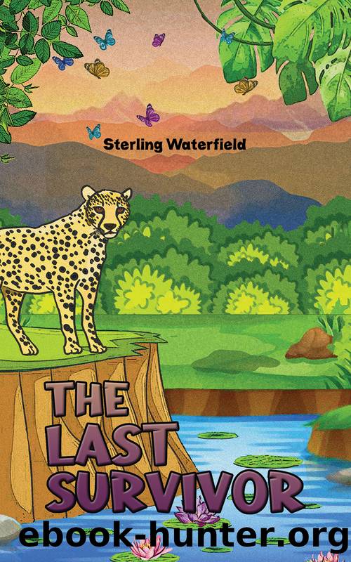 The Last Survivor by Sterling Waterfield