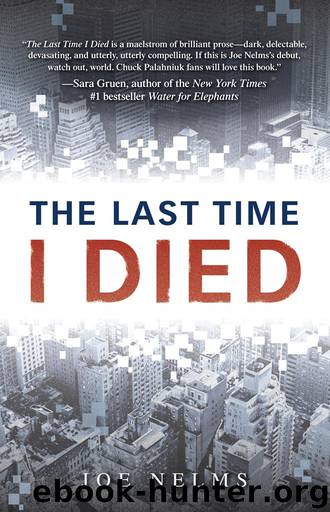 The Last Time I Died by Joe Nelms