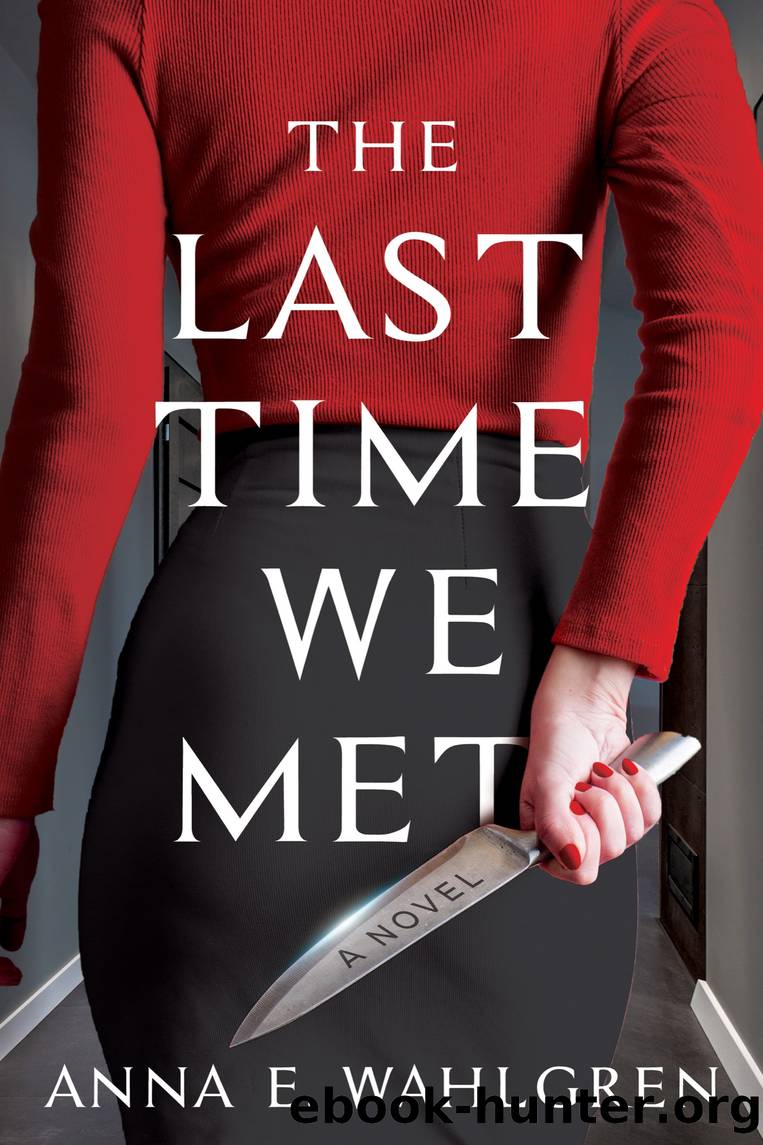 The Last Time We Met by Anna E. Wahlgren