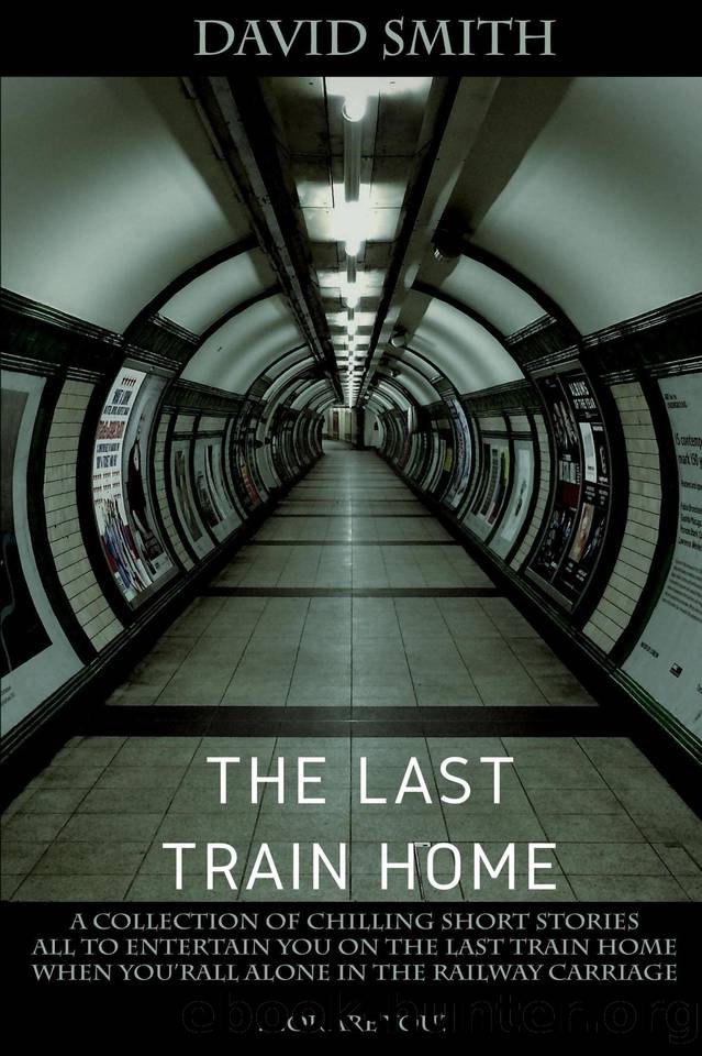 The Last Train Home by unknow