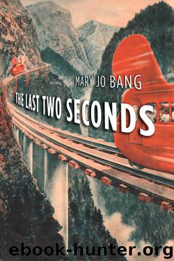 The Last Two Seconds by Mary Jo Bang