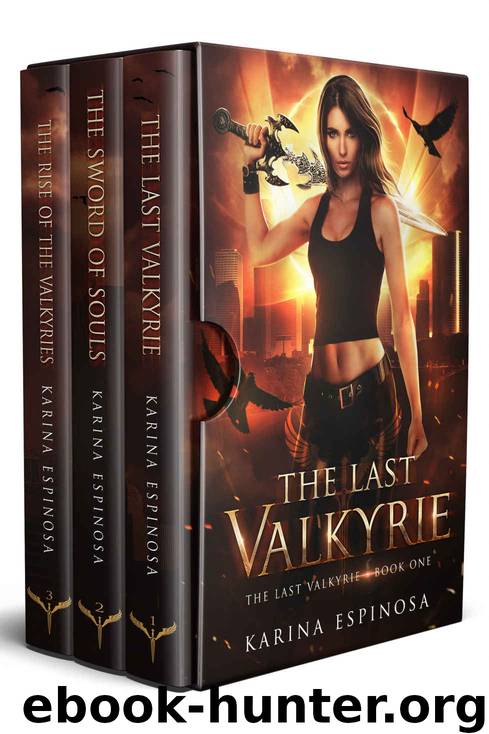 The Last Valkyrie Series Complete Boxed Set by Karina Espinosa