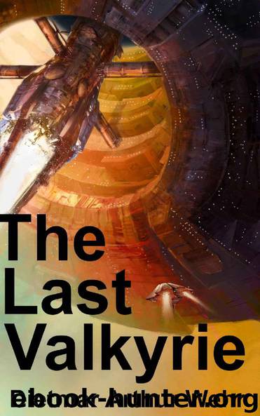 The Last Valkyrie by Dietmar Wehr