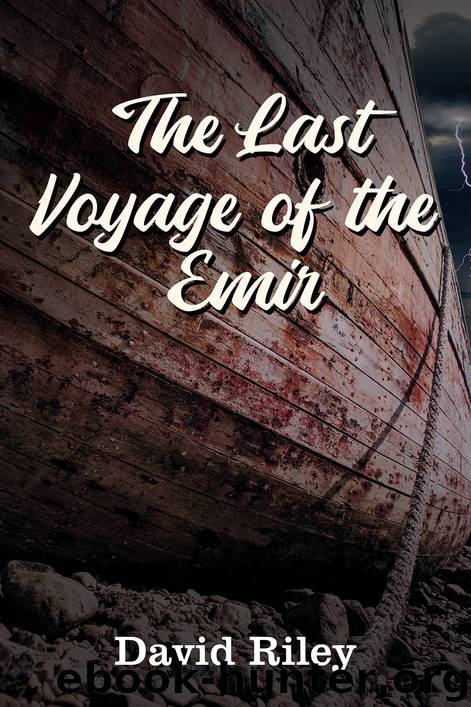 The Last Voyage of the Emir by David Riley