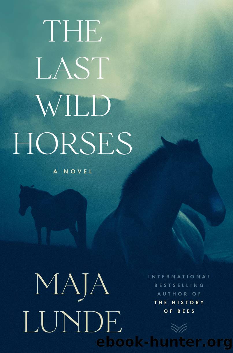 The Last Wild Horses by Maja Lunde
