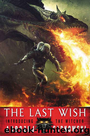The Last Wish (The Witcher Book 1) by Andrzej Sapkowski