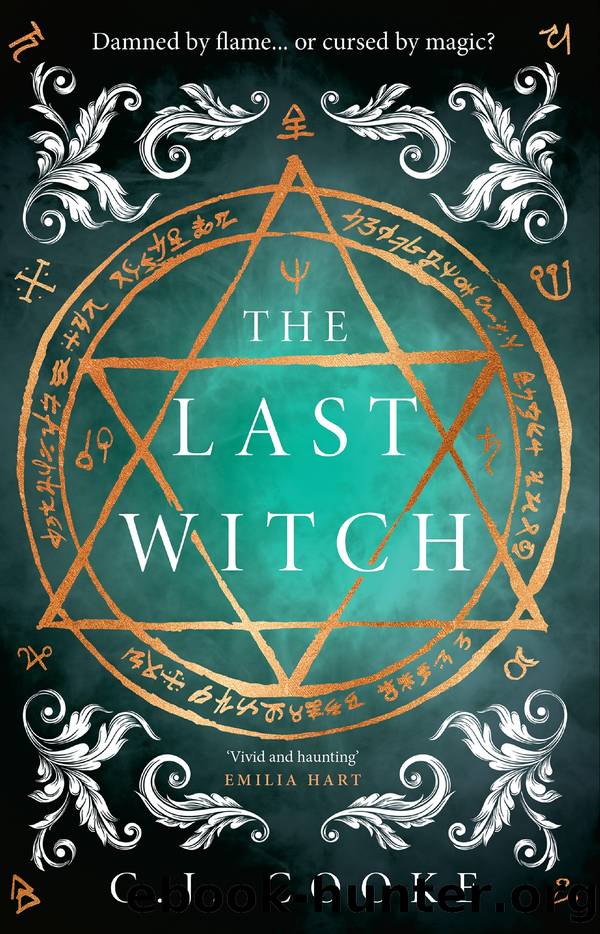 The Last Witch by C.J. Cooke