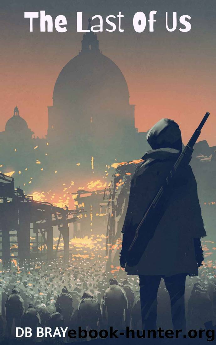 The Last of Us by D B Bray