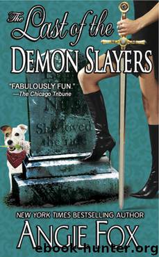 The Last of the Demon Slayers by Angie Fox