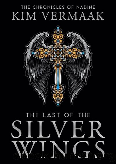 The Last of the Silver Wings by Kim Vermaak