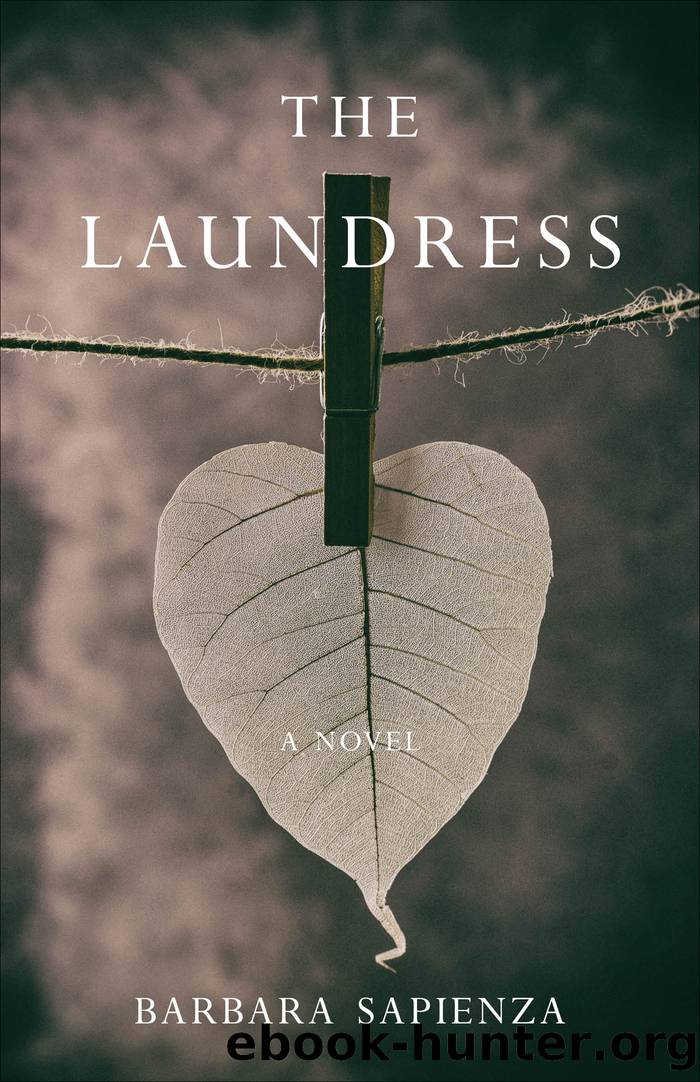 The Laundress by Barbara Sapienza