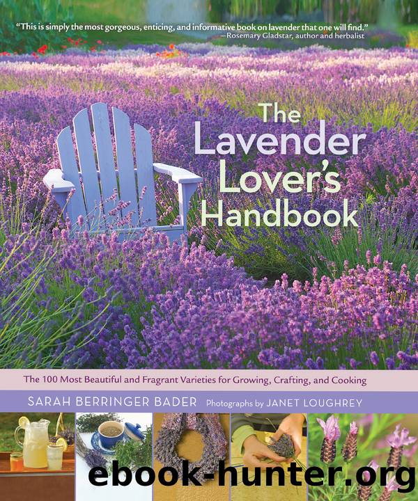 The Lavender Lover's Handbook by Sarah Berringer Bader