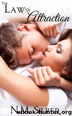 The Law of Attraction by N.M. Silber