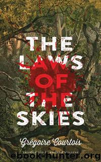 The Laws of the Skies by Grégoire Courtois