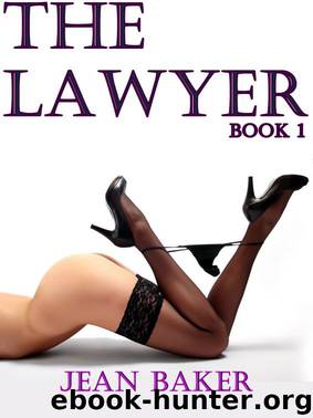 The Lawyer by Jean Baker