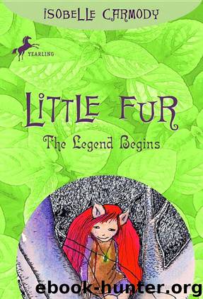 The Legend Begins by Isobelle Carmody