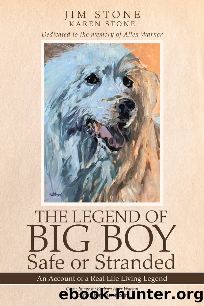 The Legend of Big Boy Safe or Stranded by Jim Stone