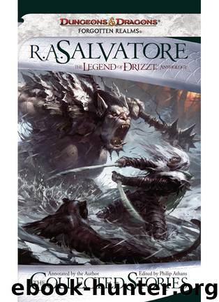 The Legend of Drizzt by R. A. Salvatore