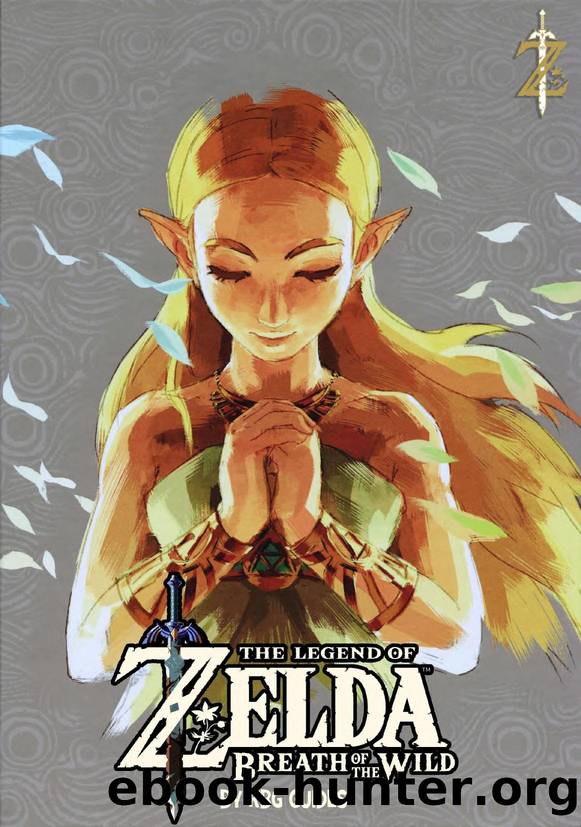 The Legend of Zelda Breath of the Wild The Complete Official Guide -Expanded Edition by KBGCUBA