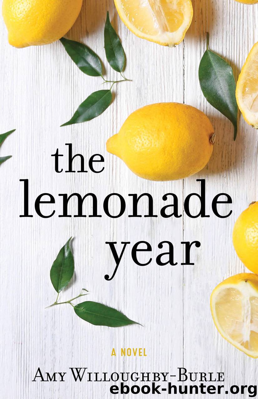 The Lemonade Year by Amy Willoughby-Burle