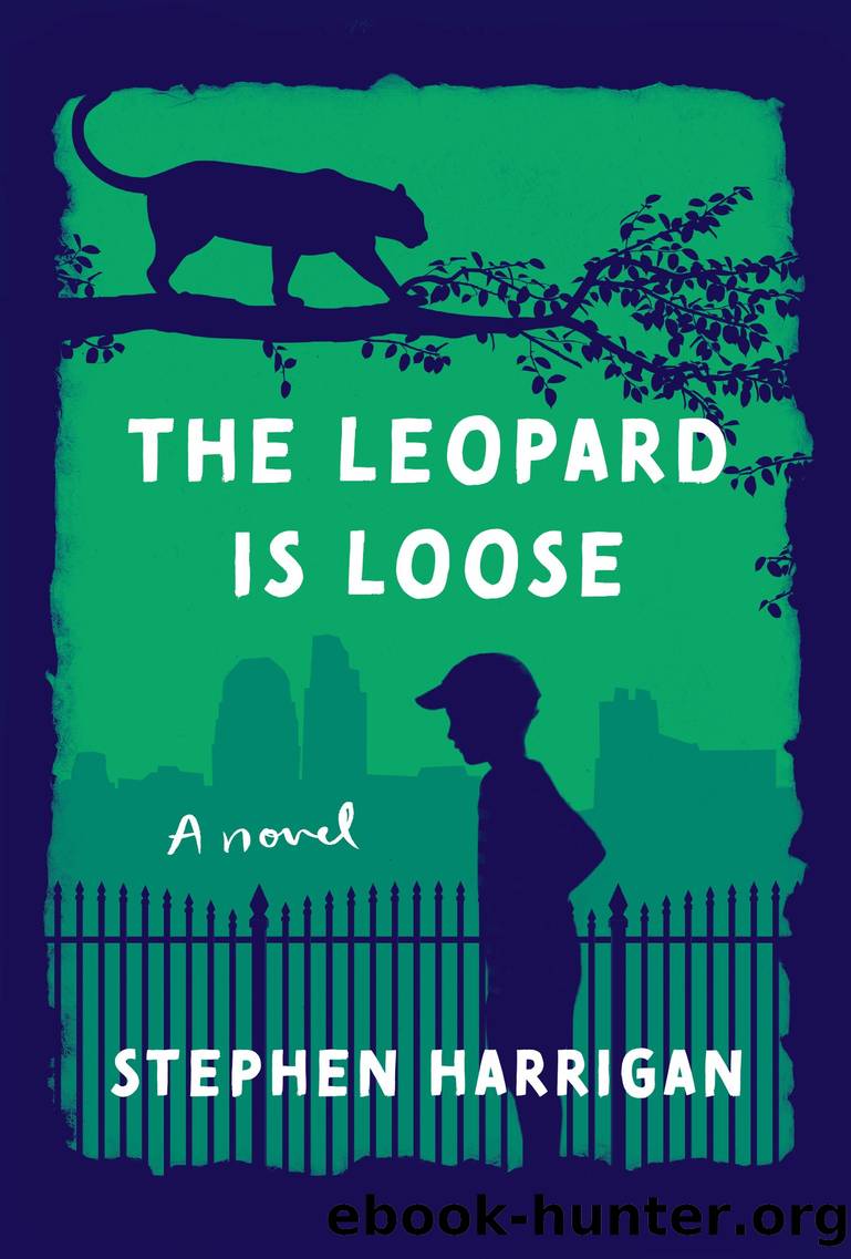 The Leopard Is Loose by Stephen Harrigan