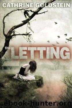 The Letting by Cathrine Goldstein