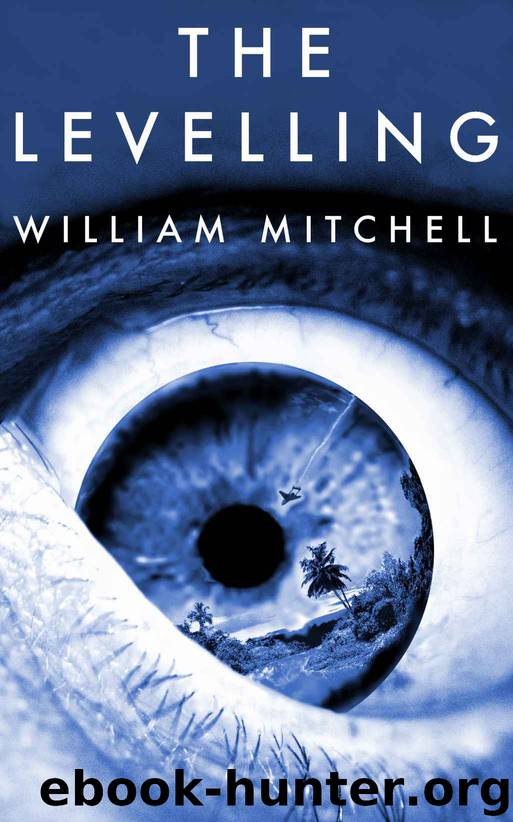 The Levelling by William Mitchell