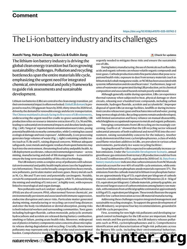 The Li-ion battery industry and its challenges by Xuezhi Yang & Haiyan Zhang & Qian Liu & Guibin Jiang